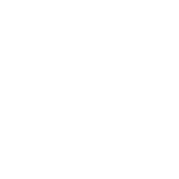 Play Icon
